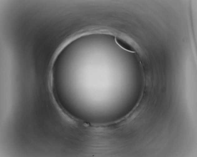 X0000114131520200910081234