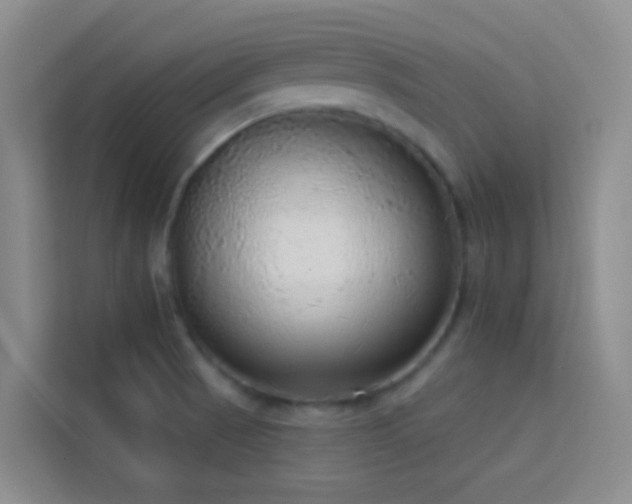 X0000114131521200910081234