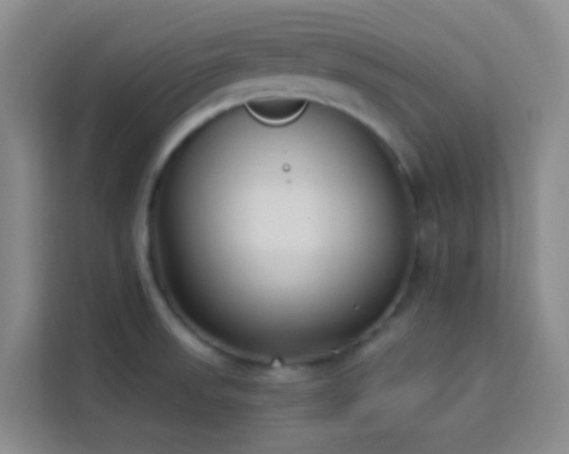 X0000114131523200910081234
