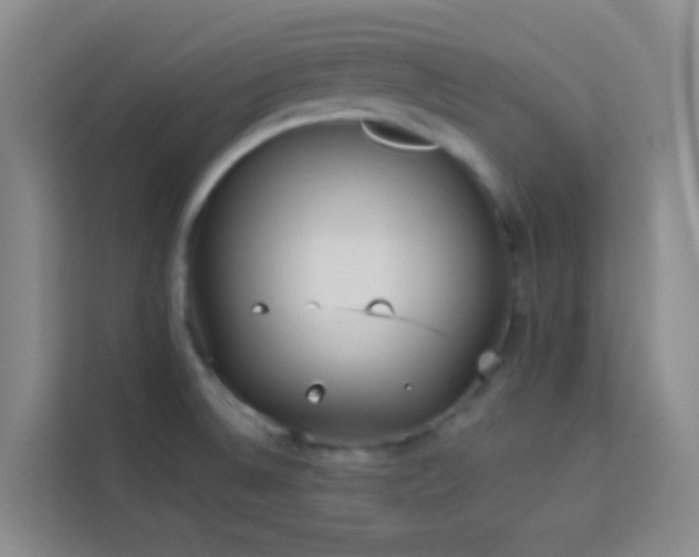 X0000114131524200910081234
