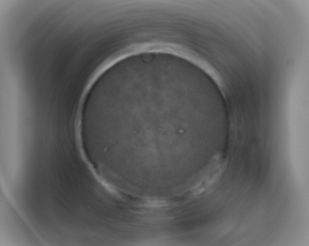 X0000114131525200910081234