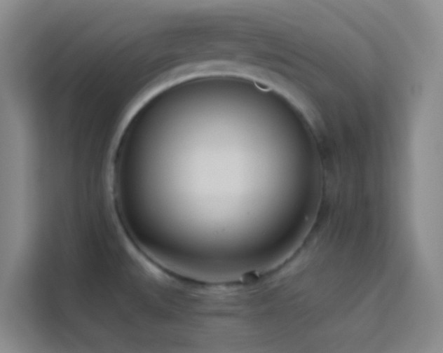 X0000114131527200910081234
