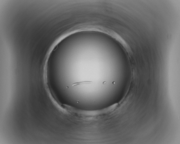 X0000114131528200910081234