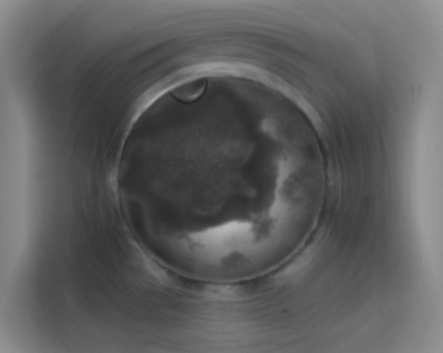 X0000114131529200910081234