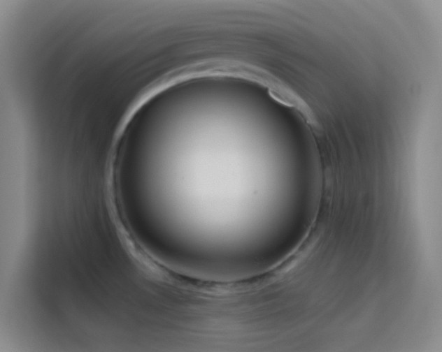 X0000114131530200910081234