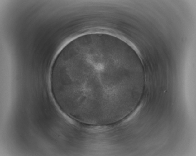 X0000114131533200910081234