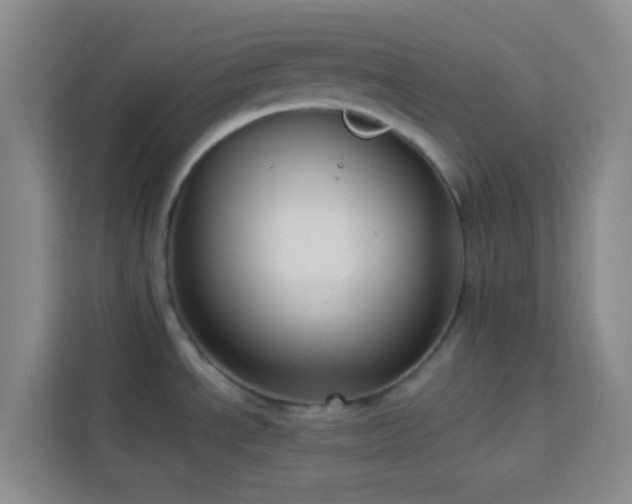 X0000114131534200910081234