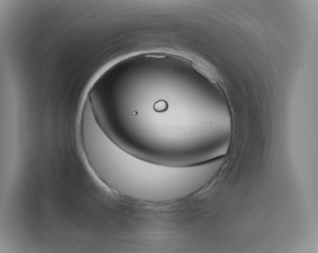 X0000114131536200910081234