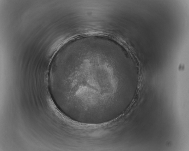 X0000114130002200910151556