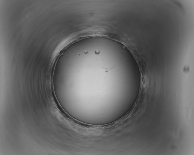 X0000114130004200910151556