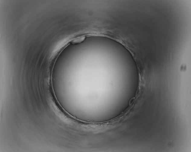 X0000114130005200910151556