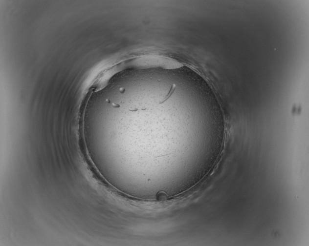 X0000114130006200910151556