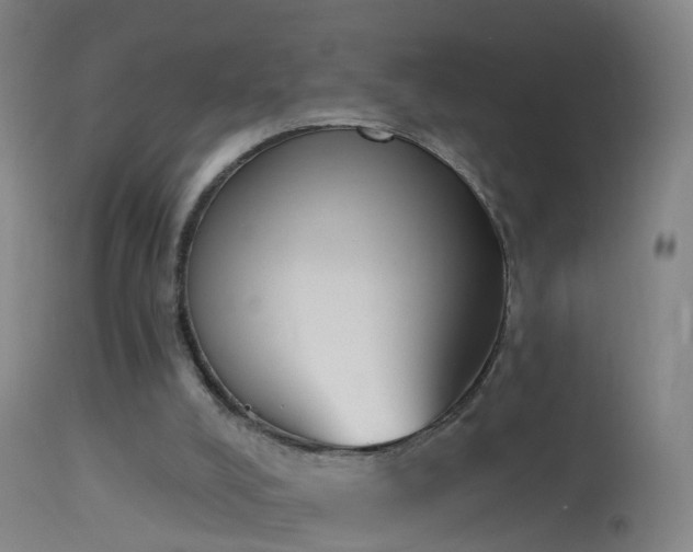 X0000114130008200910151556