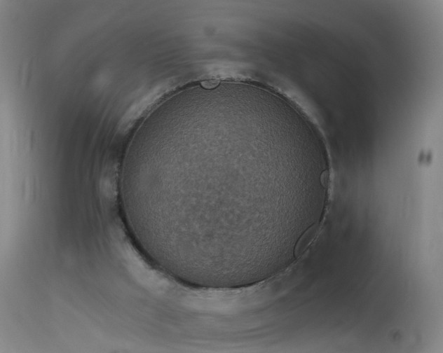 X0000114130009200910151556