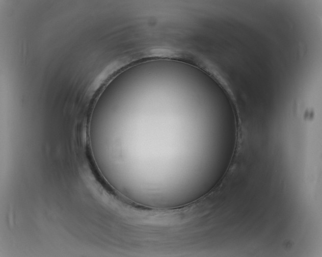 X0000114130011200910151556