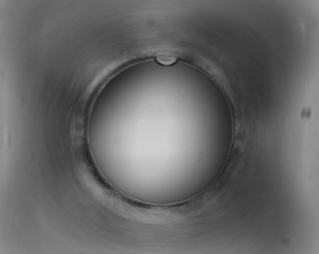 X0000114130012200910151556