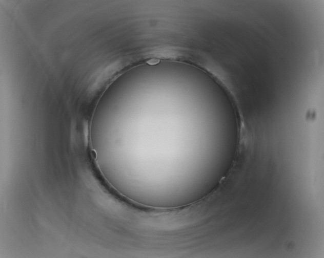 X0000114130013200910151556