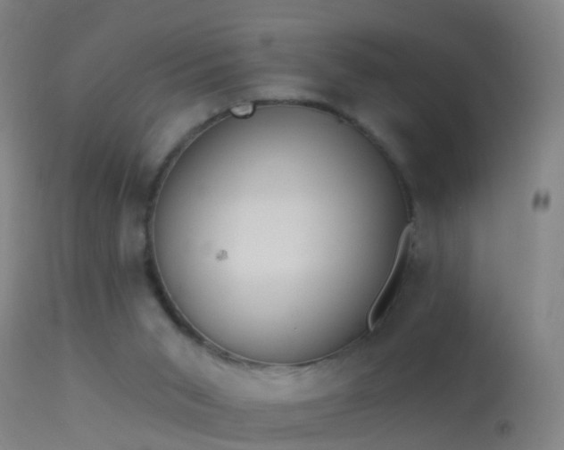 X0000114130015200910151556