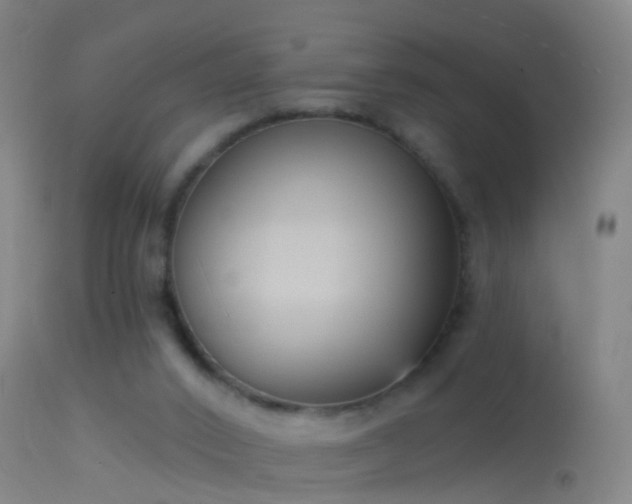 X0000114130016200910151556