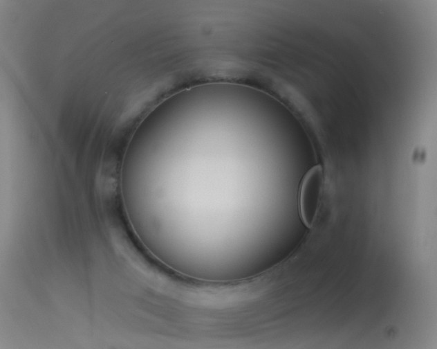 X0000114130017200910151556