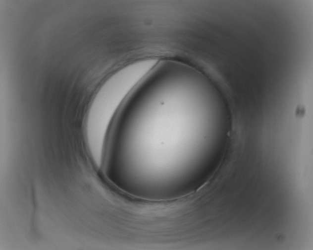 X0000114130021200910151556