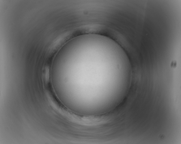 X0000114130022200910151556