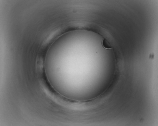 X0000114130024200910151556