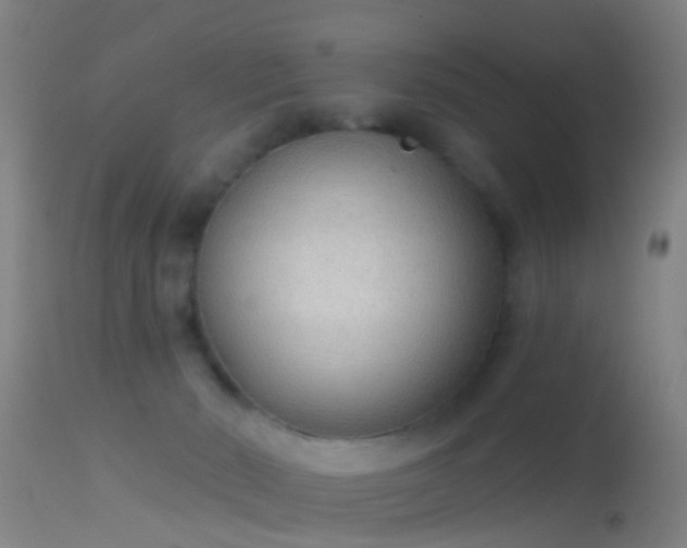 X0000114130030200910151555