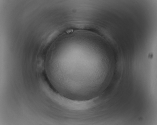 X0000114130031200910151555