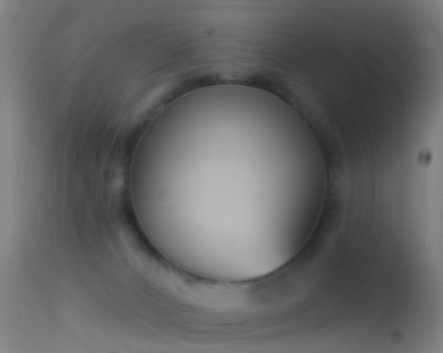 X0000114130032200910151555