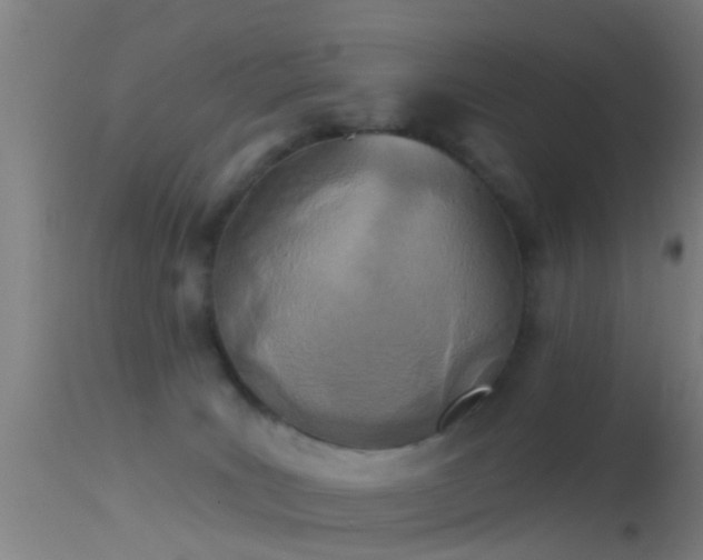 X0000114130035200910151555