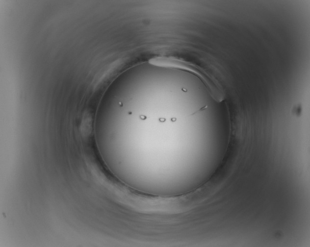 X0000114130036200910151555