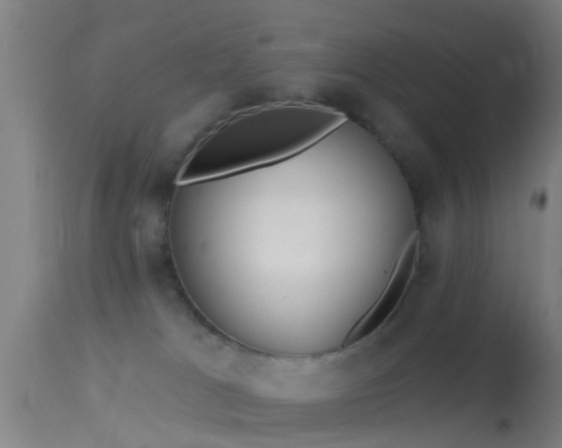 X0000114130037200910151555