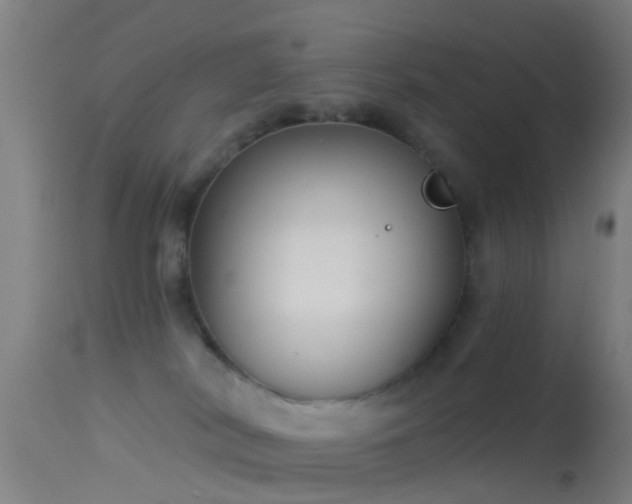 X0000114130038200910151555