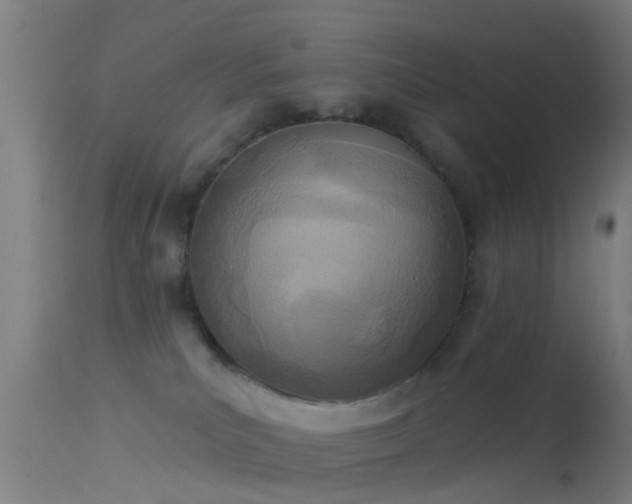 X0000114130039200910151555