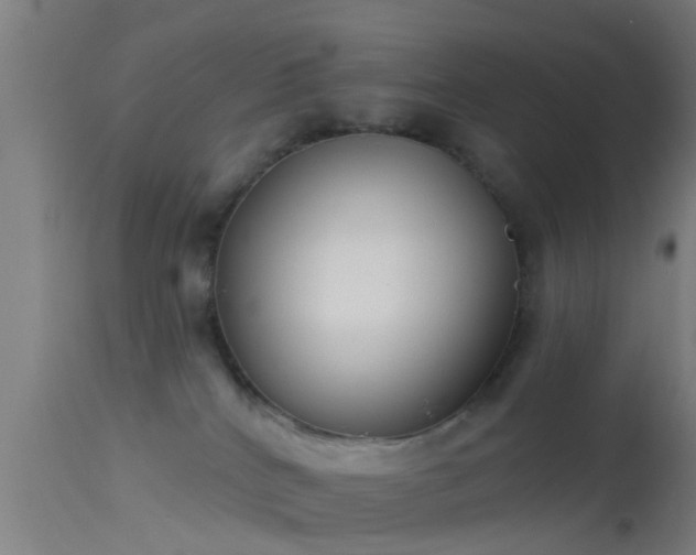 X0000114130040200910151555