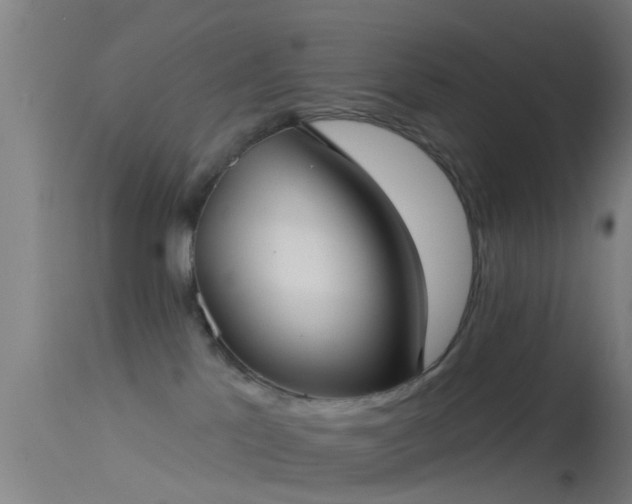 X0000114130041200910151555