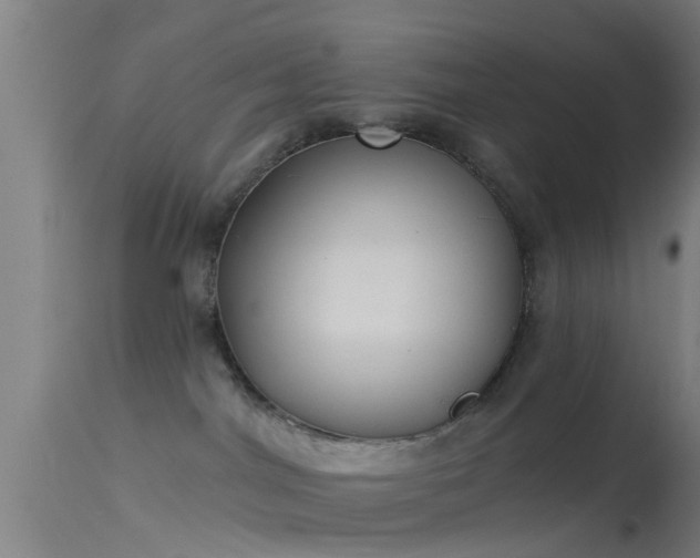 X0000114130044200910151555