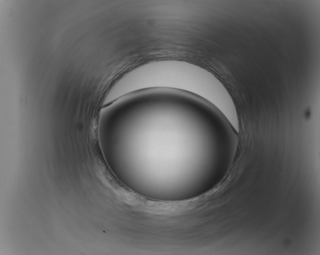 X0000114130045200910151555