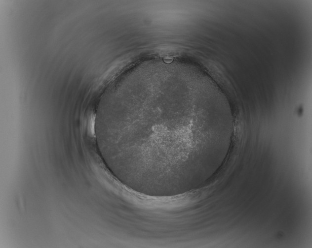 X0000114130046200910151555