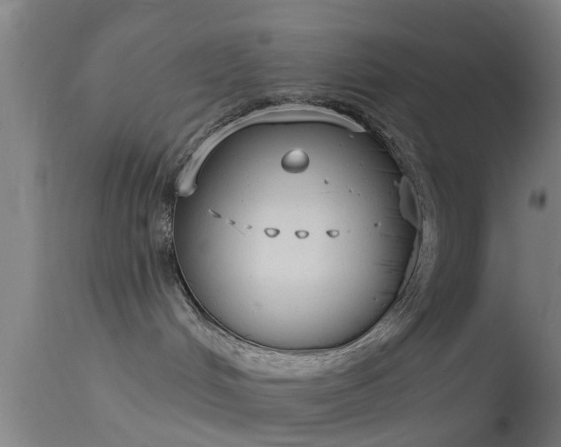 X0000114130048200910151555