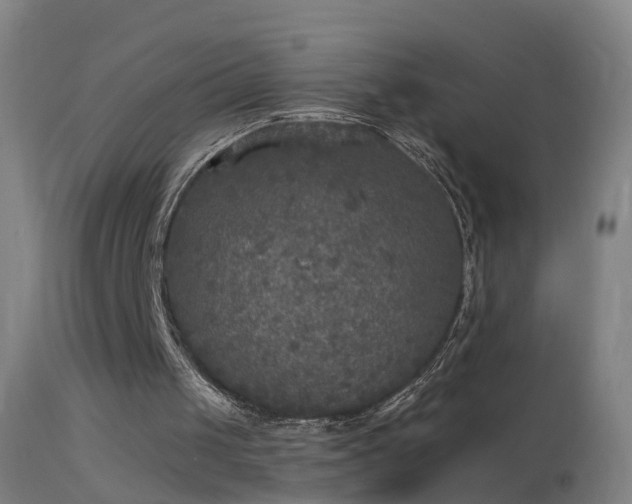 X0000114130049200910151554