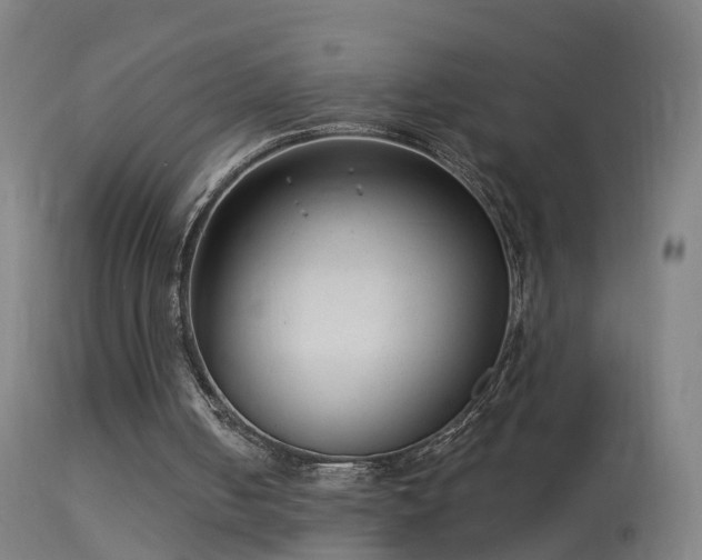 X0000114130050200910151554