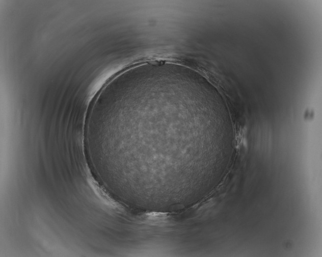 X0000114130052200910151554