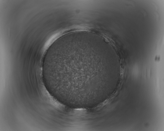 X0000114130053200910151555