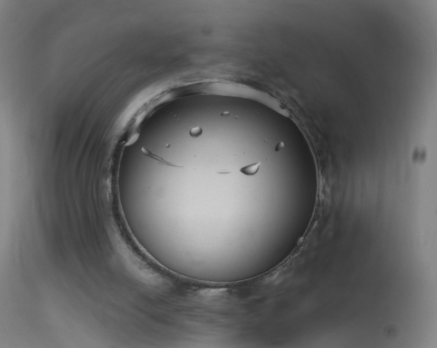 X0000114130054200910151555