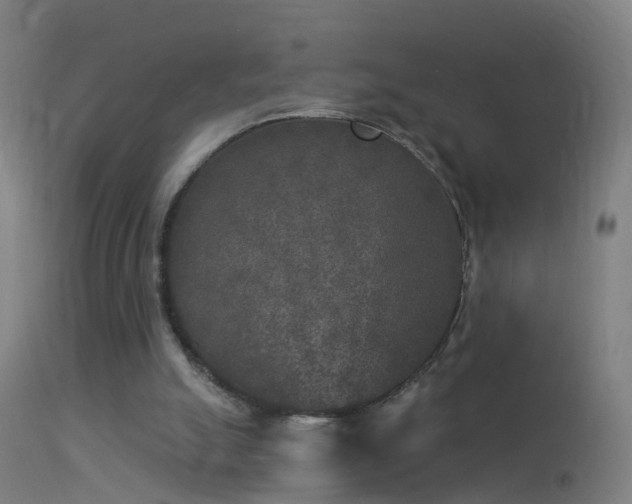 X0000114130055200910151555