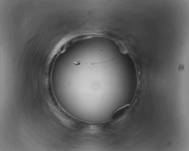 X0000114130056200910151555