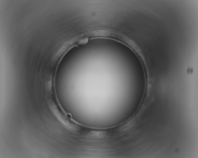 X0000114130057200910151555