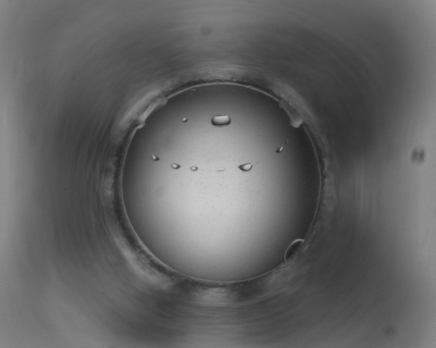 X0000114130058200910151555